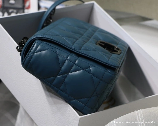 Tony Luxuries BAG CARO diro LARGE 0804